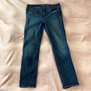 American Eagle Outfitters 10 Short Skinny Medium Wash Jeans Stretchy Cotton Span